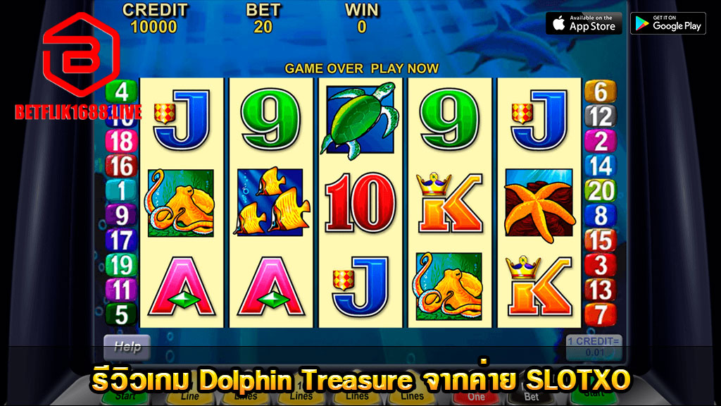dolphin-treasure-1